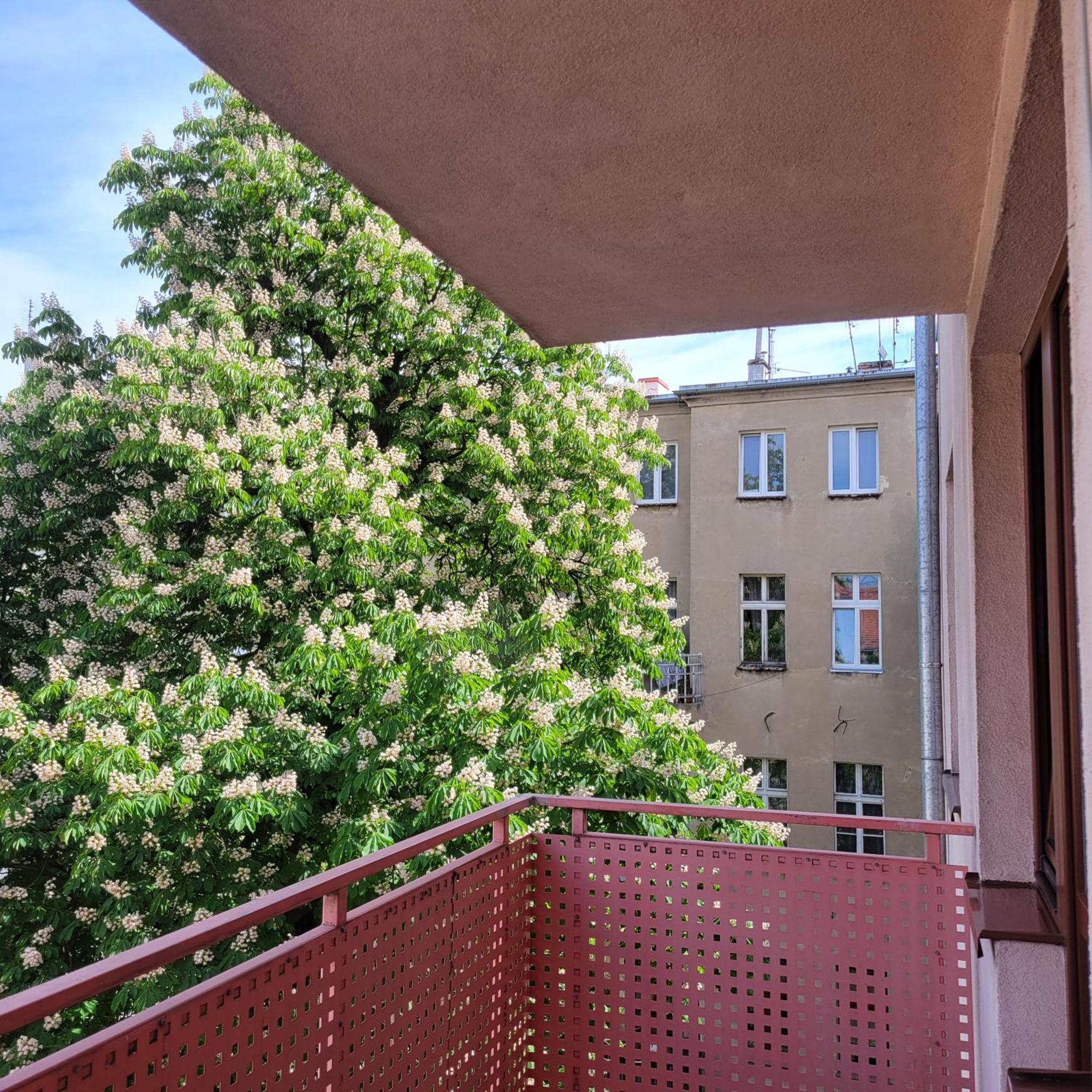 ורוצלב Cozy Apartment מראה חיצוני תמונה